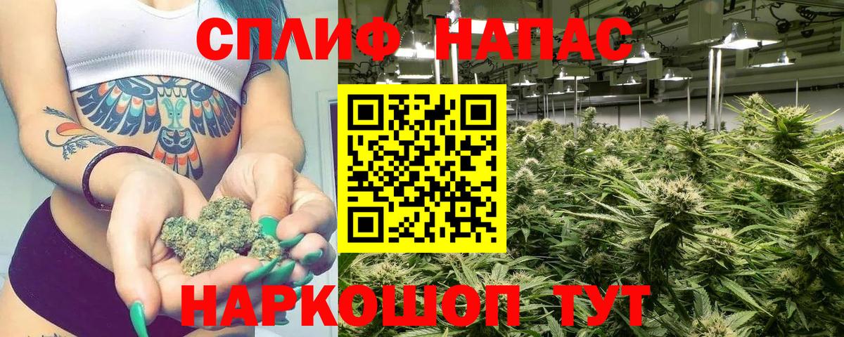 Ртищево  Шишки марихуана THC 21%  Каннабис план  Вход с VPN  Бошки марихуана VHQ 